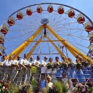 Meet your Posher, Toni